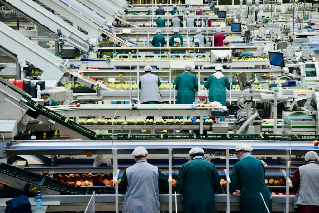 Ligne de conditionnement dans l'agroalimentaire